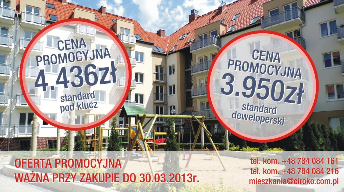 Oferta specjalna
