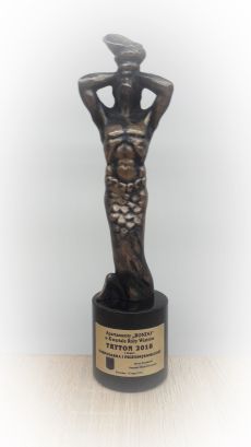 Tryton 2018 statuetka